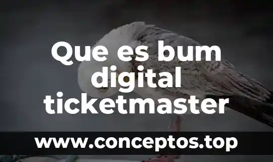 Que es una representación digital 8 Que es bum digital ticketmaster