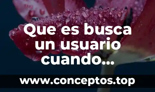 Que es busca un usuario cuando adquiere un software