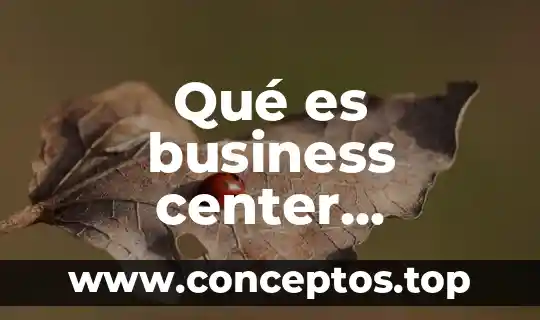 Qué es business center definición