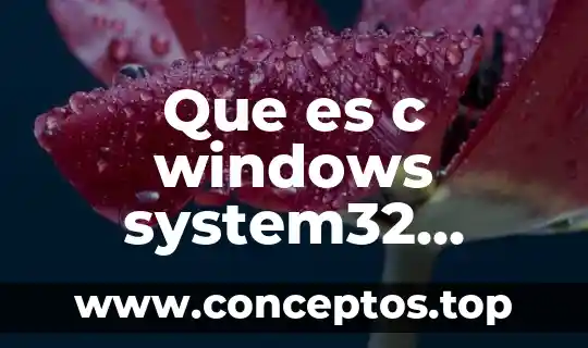 Que es c windows system32 inetcpl.cpl