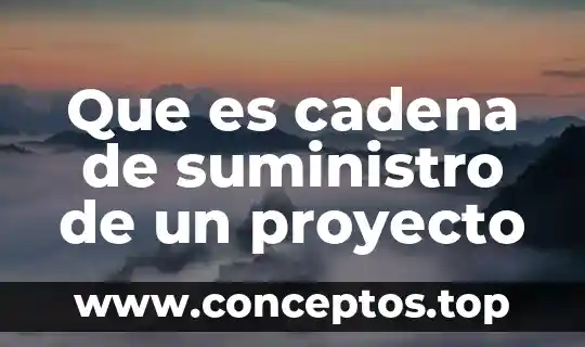 Que es cadena de suministro de un proyecto