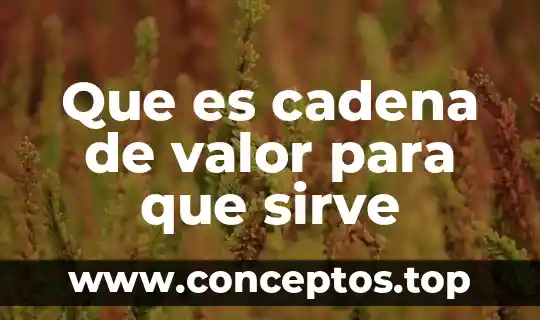 Que es cadena de valor para que sirve