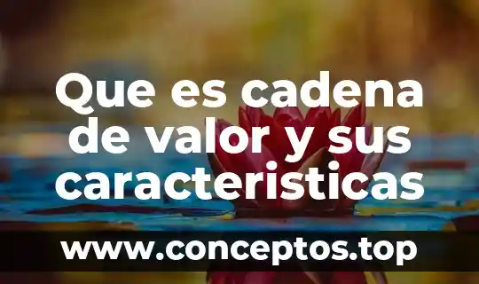 Que es cadena de valor y sus caracteristicas