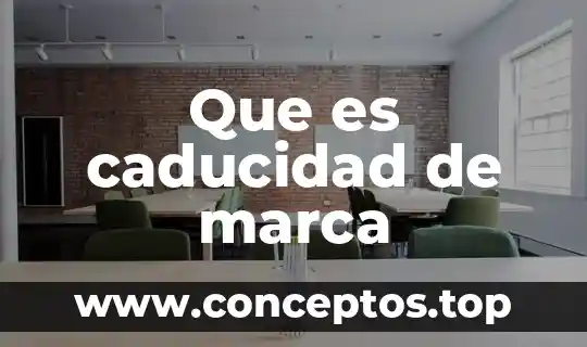 Qué es un micrófono hsmr marca Blue color 4 Que es caducidad de marca