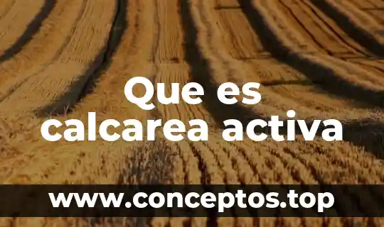Que es calcarea activa