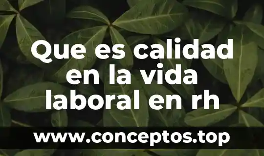 Que es calidad en la justicia 4 Que es calidad en la vida laboral en rh