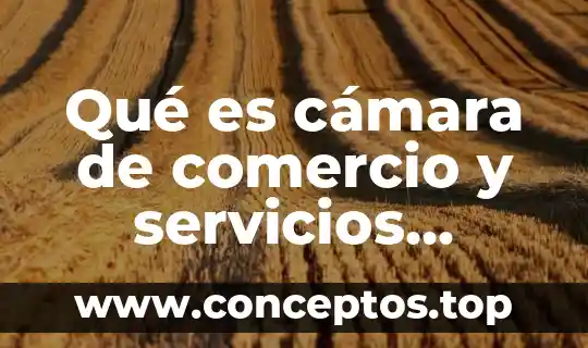 Qué es cámara de comercio y servicios turístico