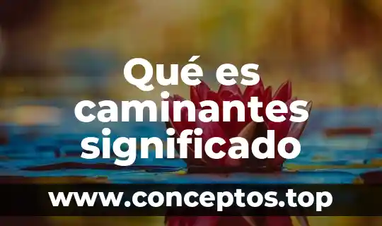 Que es suburbios significado 6 Qué es caminantes significado
