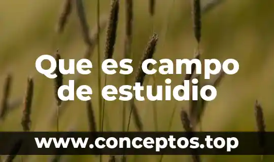 Que es un problema en el campo de la investigacion 7 Que es campo de estuidio