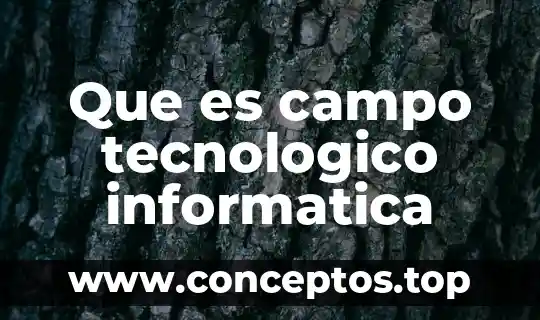Que es campo tecnologico informatica