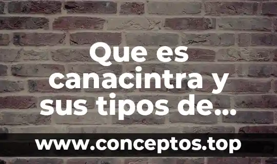 Que es la administracion de empresas administrativas 4 Que es canacintra y sus tipos de empresas que agrupa