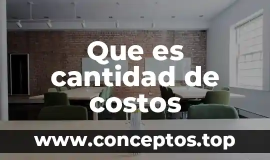 Que es cantidad de costos