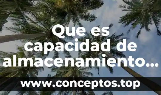 Que es unidad media de almacenamiento 4 Que es capacidad de almacenamiento blu rayen informatica