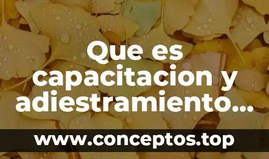 Que es capacitacion y adiestramiento de los trabajadores