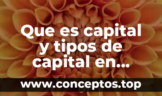 Qué es un quiste tipos 8 Que es capital y tipos de capital en contabilidad