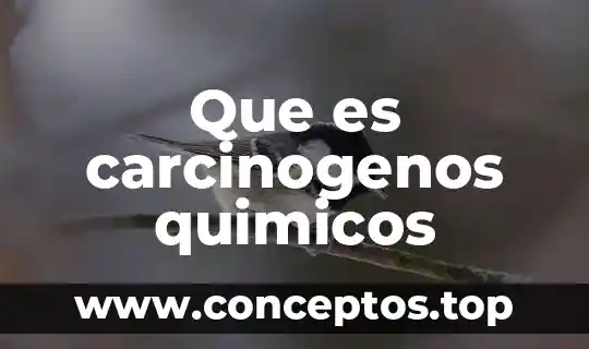 Que es carcinogenos quimicos