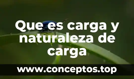 Que es carga y naturaleza de carga
