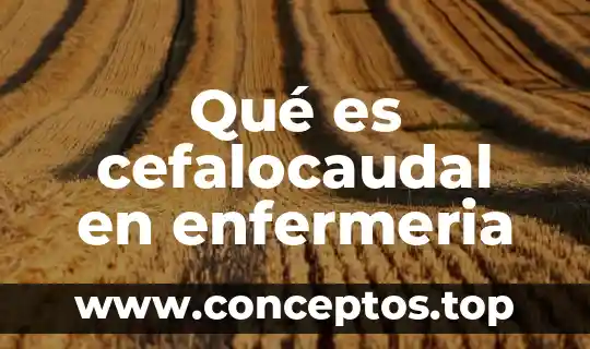 Qué es cefalocaudal en enfermeria