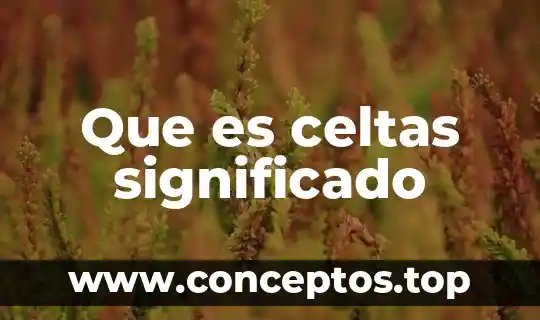 Argumentar significado que es 8 Que es celtas significado