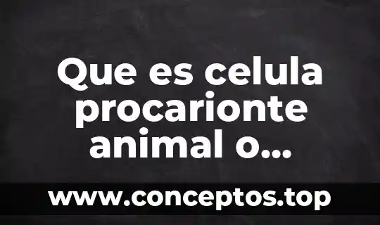 Que es celula procarionte animal o vegetal