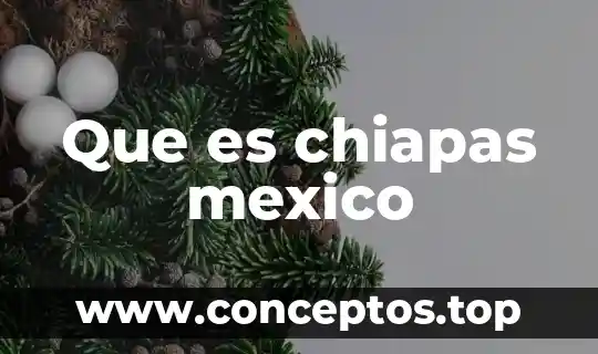 Que es chiapas mexico