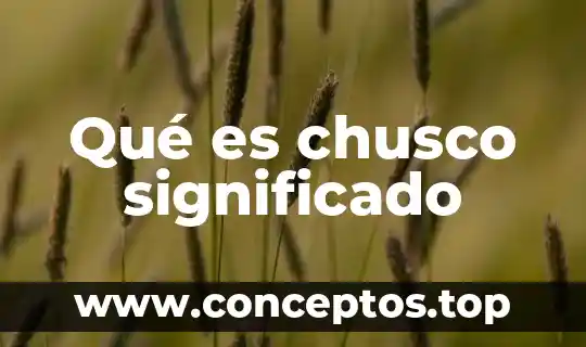 Qué es chusco significado