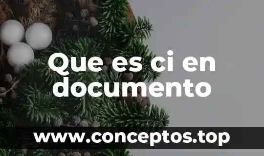 Que es ci en documento