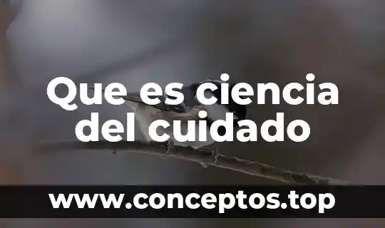 Que es ciencia del cuidado