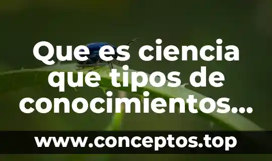Qué es un densímetro y tipos 8 Que es ciencia que tipos de conocimientos existen