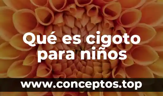 Qué es cigoto para niños