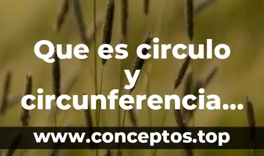 Que es un circulo alrededor del sol 7 Que es circulo y circunferencia y su estructura