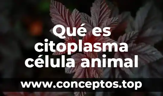 Que es el animal en dibujo de elefantes 5 Qué es citoplasma célula animal