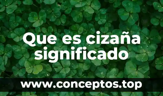 Que es el significado de huizachal 3 Que es cizaña significado