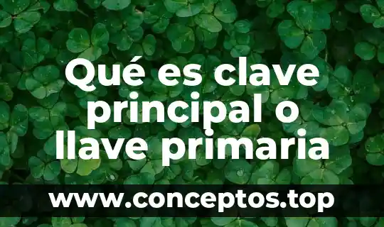Qué es clave principal o llave primaria