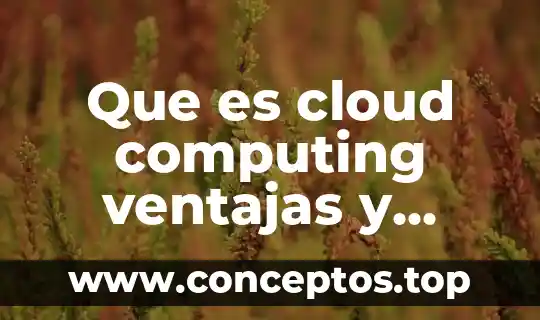 Windows que significa ventajas y desventajas que es 4 Que es cloud computing ventajas y desventajas