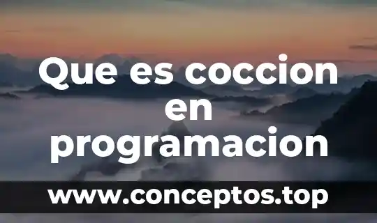 Que es coccion en programacion