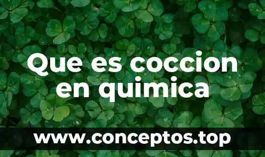 Que es coccion en quimica