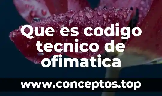 Que es codigo tecnico de ofimatica