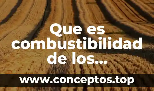 Que es combustibilidad de los compuestos orgánicos