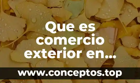 Que es la politica exterior sol 4 Que es comercio exterior en economia