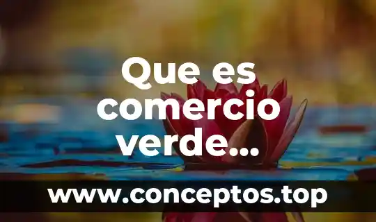 Que es comercio verde marketing verde ejemplos