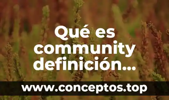 Qué es community definición corta