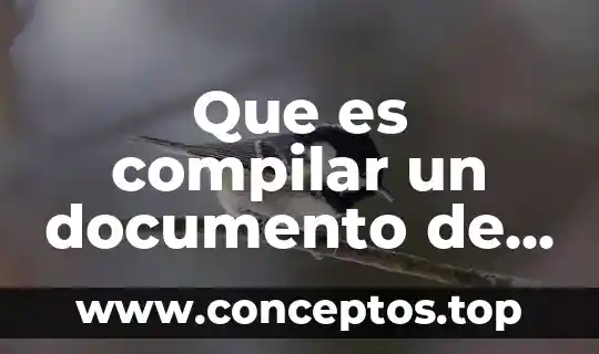 Que es compilar un documento de word