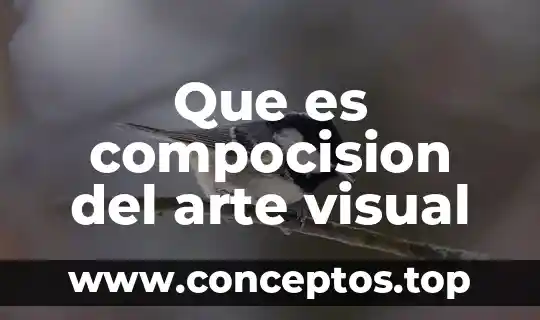 Que es compocision del arte visual