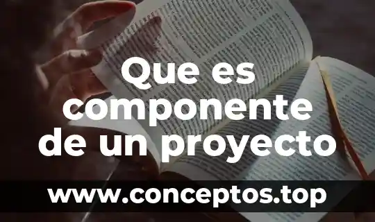 Que es componente de un proyecto
