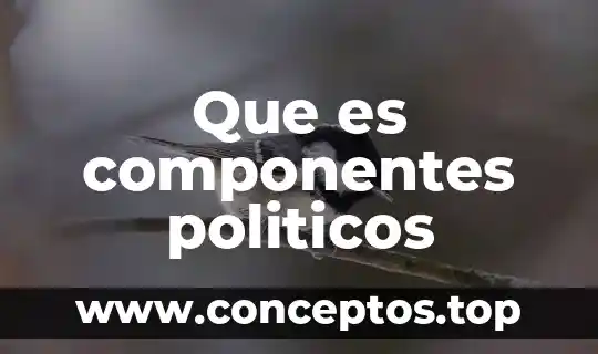 Que es un politicos en titeres 5 Que es componentes politicos