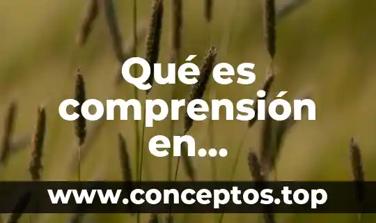 Qué es comprensión en matemáticas