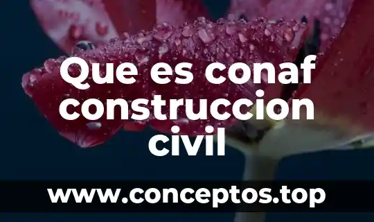 Que es conaf construccion civil
