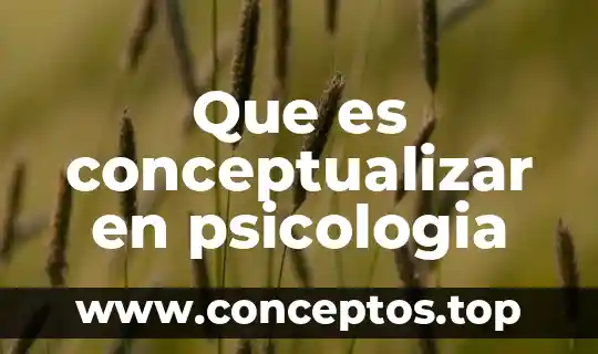 Que es conceptualizar en psicologia