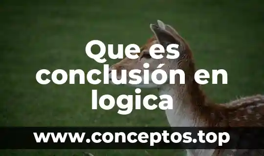 Que es conclusión en logica